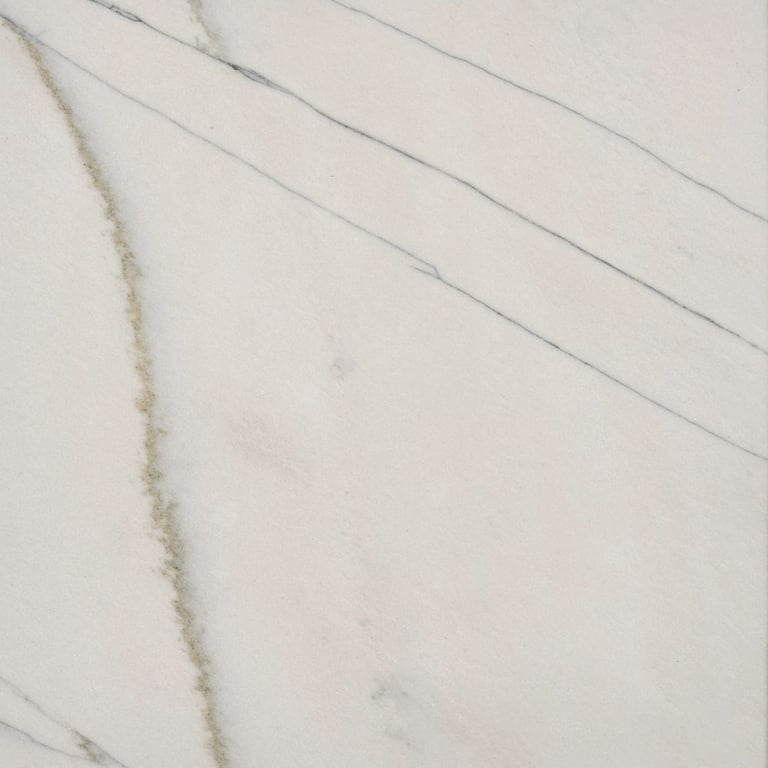 Calacatta Quartzite Polished – Close Up photo is an example of the structure and color of this product, which will vary.