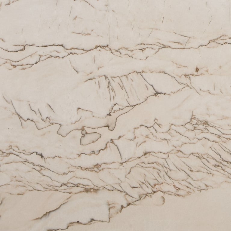 Calacatta Taupe Polished – Close up photo is an example of the structure and color of this product, which will vary.