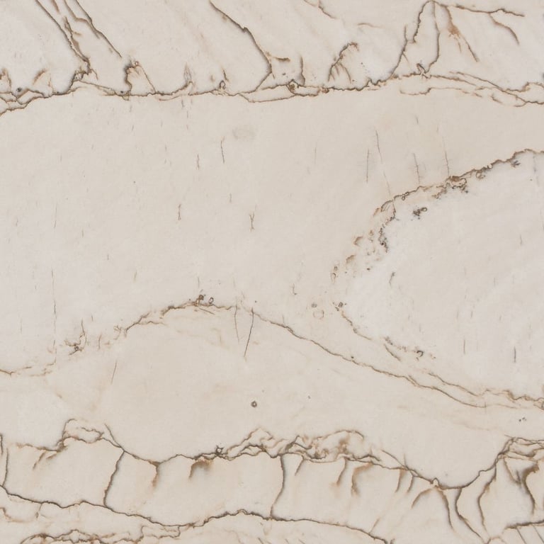 Calacatta Taupe Polished – Close up photo is an example of the structure and color of this product, which will vary.