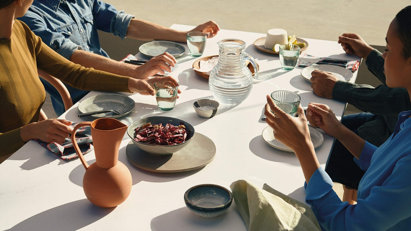 515_Palm-Shade_2_DPS-1920X1080