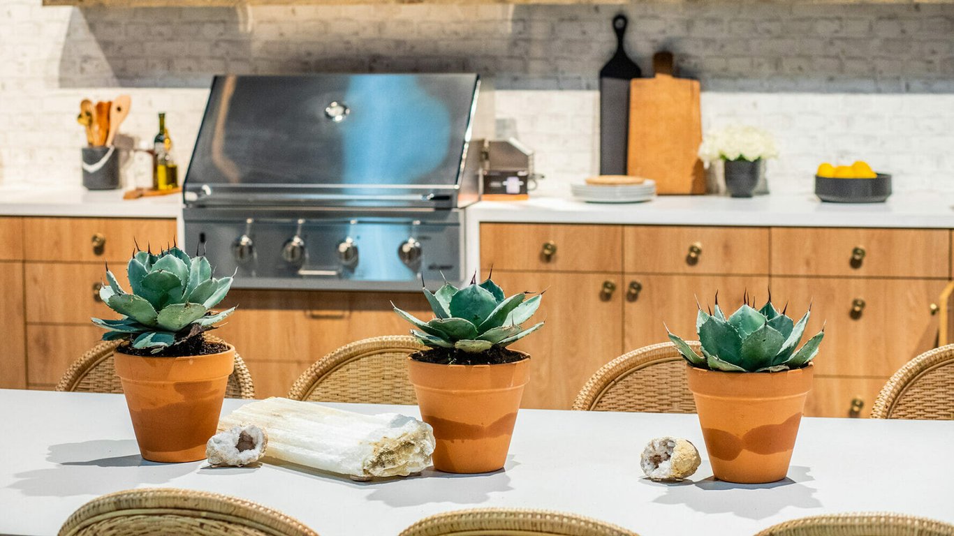 515_Palm-Shade_Image-Midday-1920X1080