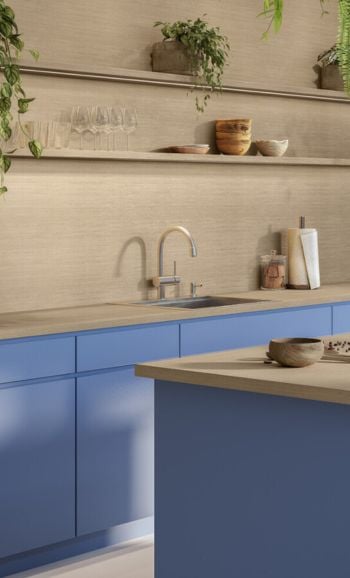 Birchhaven Wood image 1