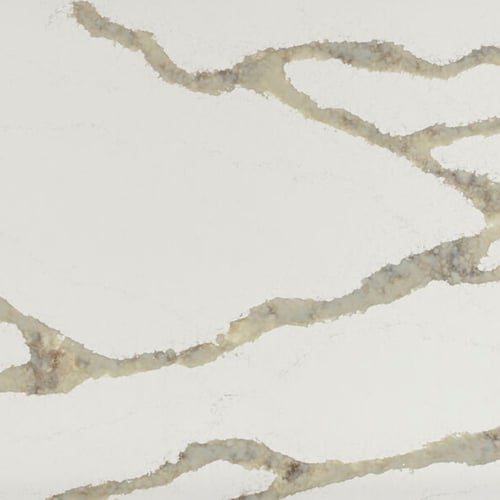Calacatta Thyme