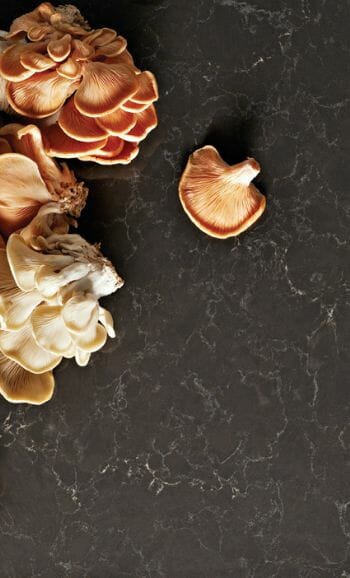 5003_Piatra Grey1_1920x1080