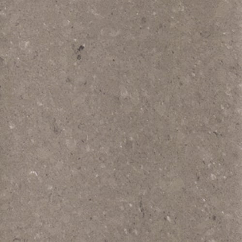 Astin Grey