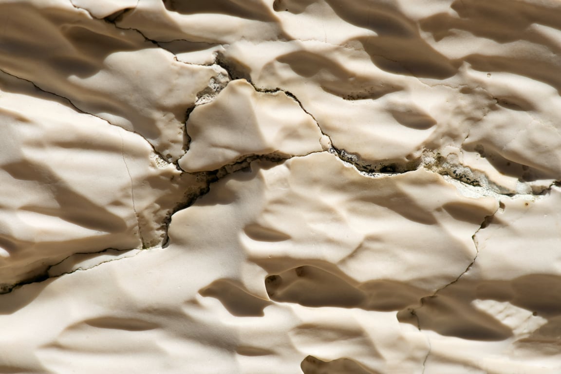 BOA VISTA application 4