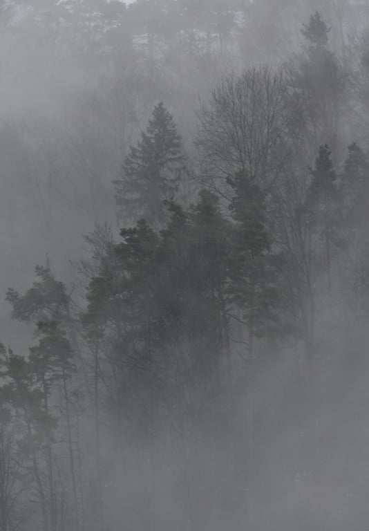 EDEN GREY application 4