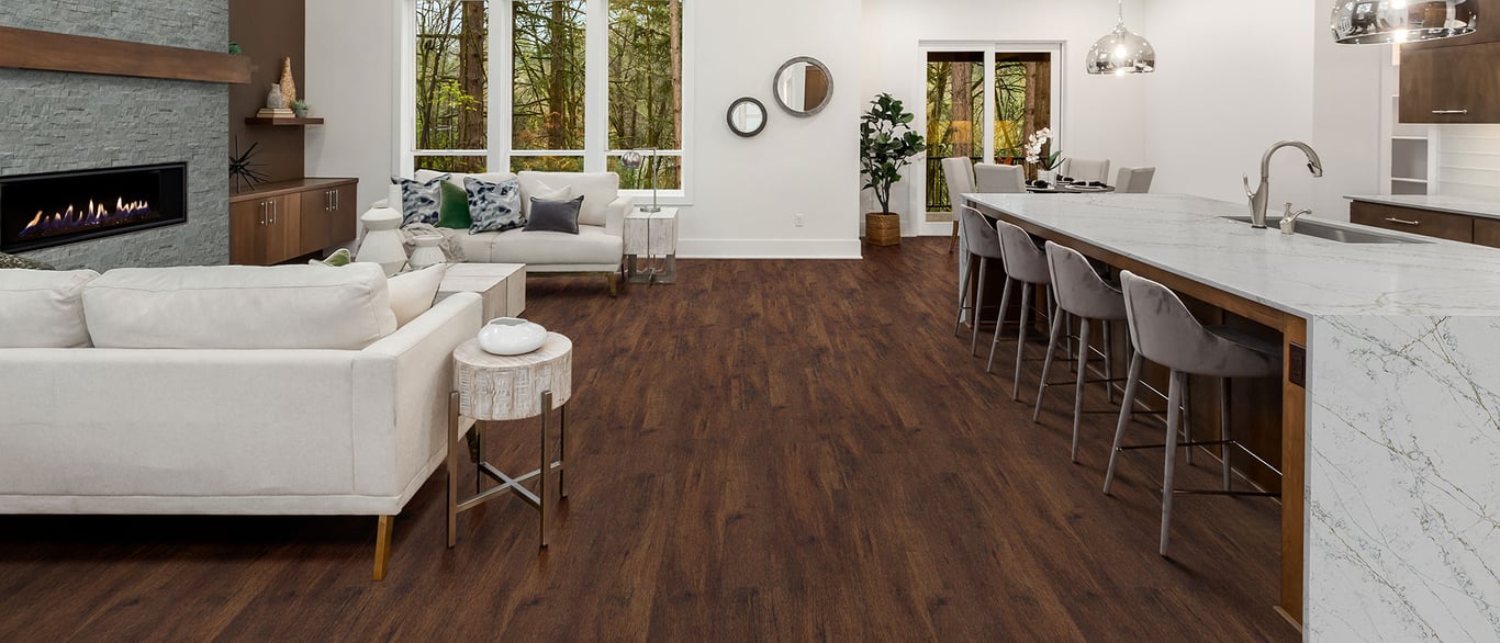 Calacatta Viraldi Quartz Countertop in Kitchen and Living Room area