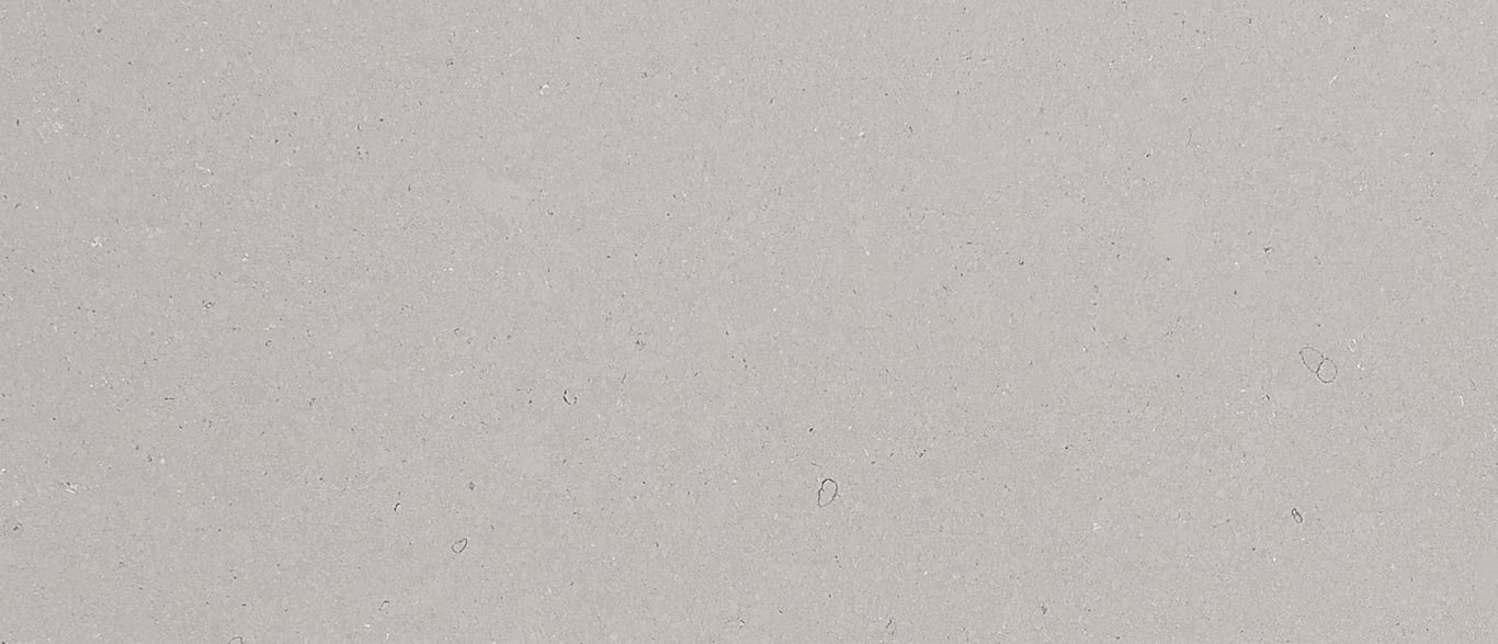 Fossil Gray Matte Quartz Sample