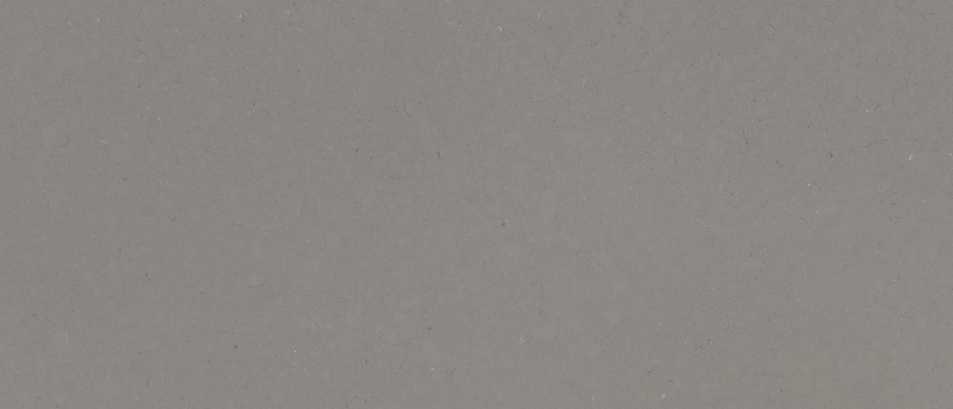 Fossil Gray Quartz Sample