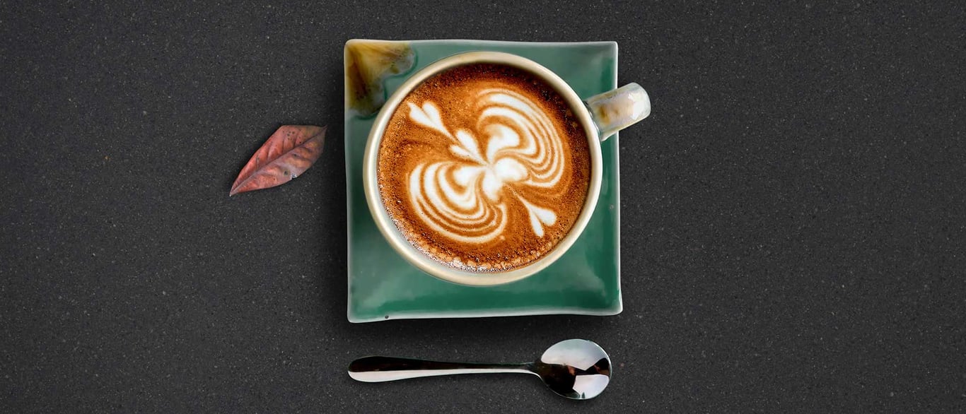 Midnight Majesty Concrete Quartz Countertop with a Culinary Vignette