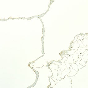 New Calacatta Laza Gold