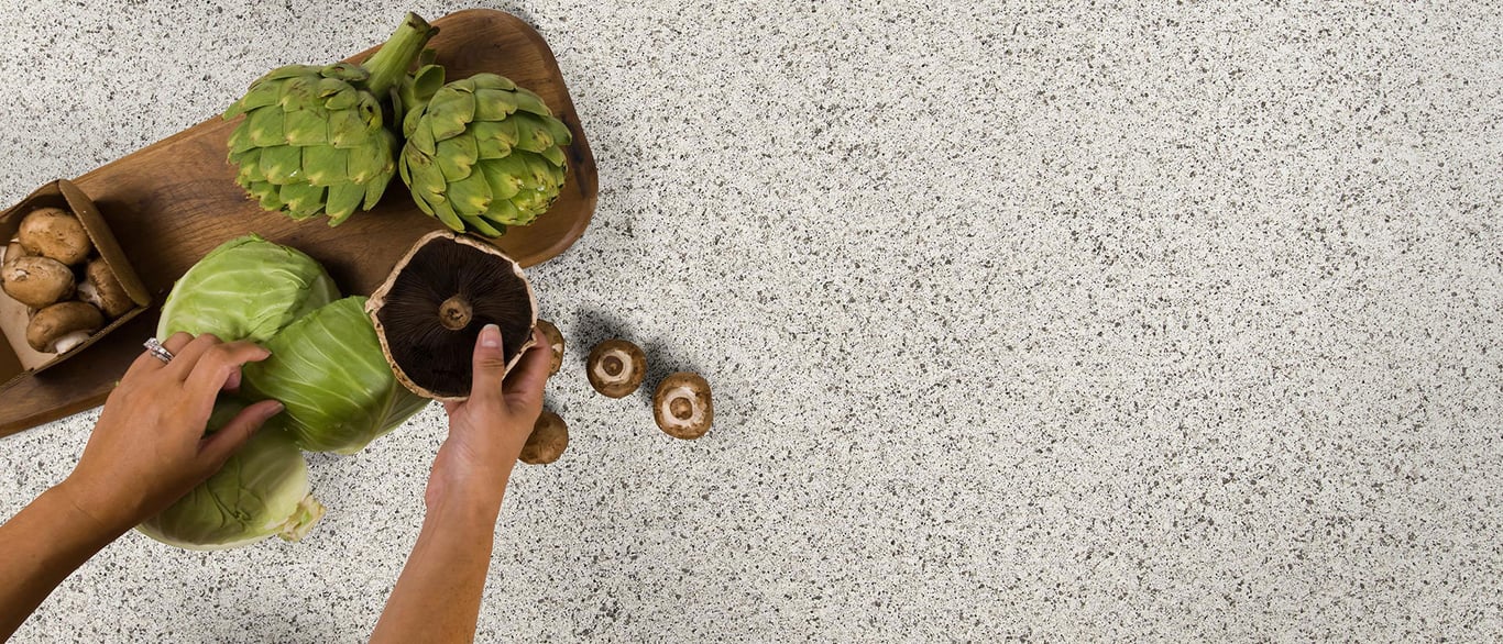 Peppercorn White Quartz Countertop with a Culinary Vignette
