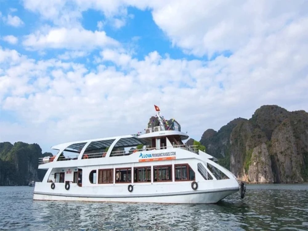 Alova Cruise