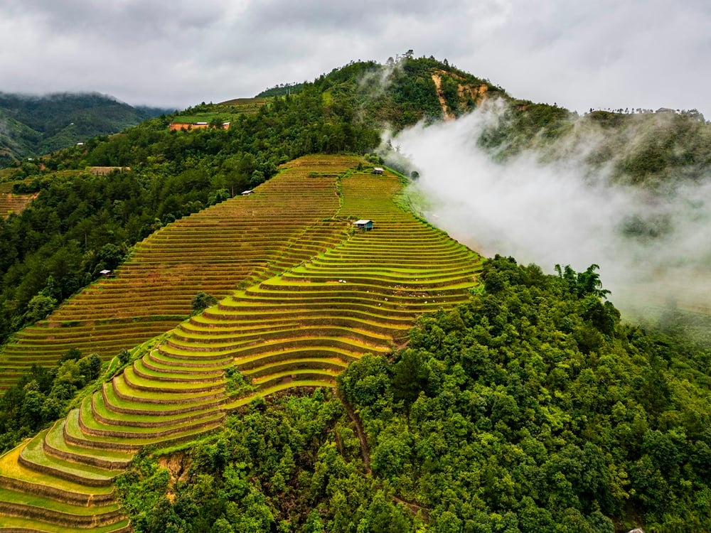 Sapa Easy Trekking