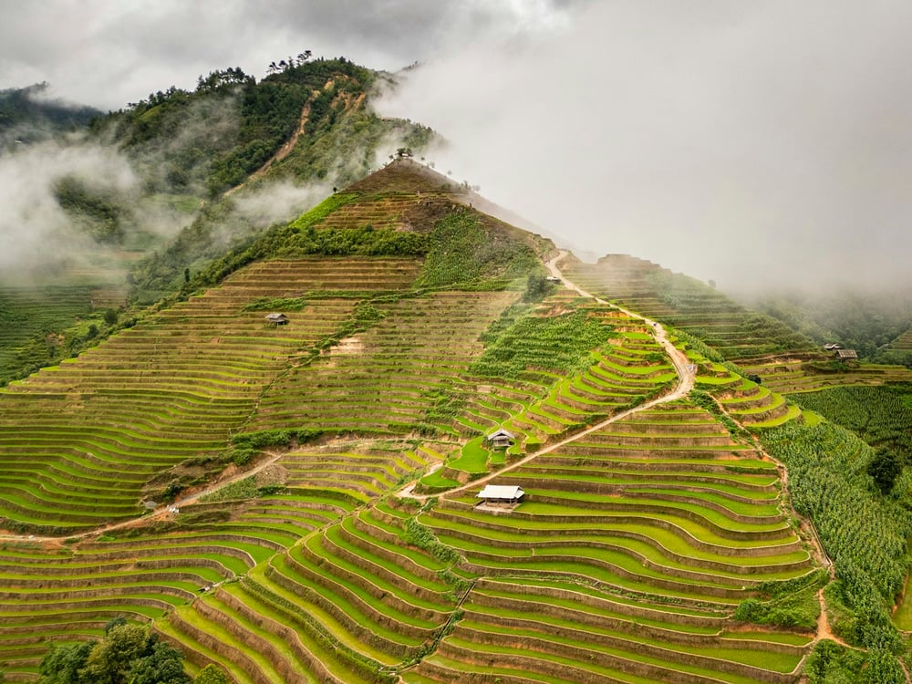 Sapa Tours