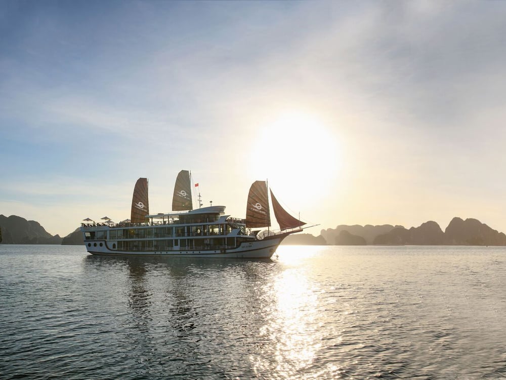 V'Spirit Cruise