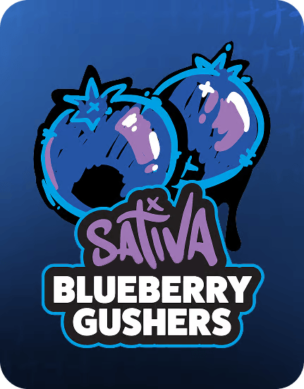 Blue Berry Gushers