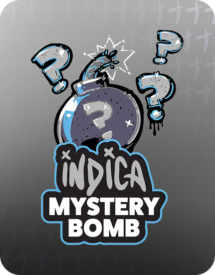 Mystery Bomb