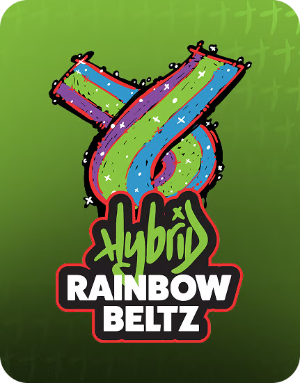 Rainbow Beltz
