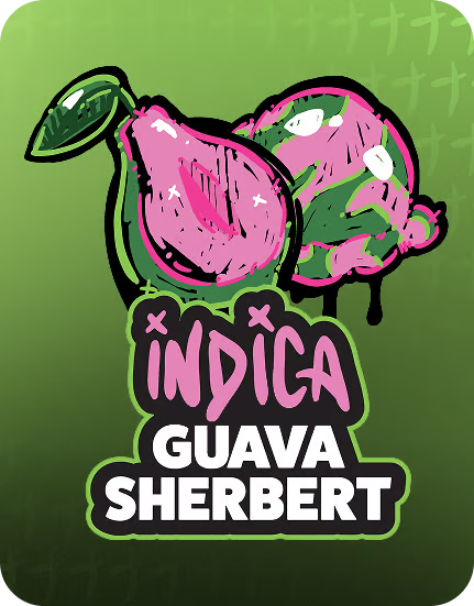 Guava Sherbert