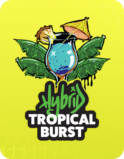 Tropical Burst