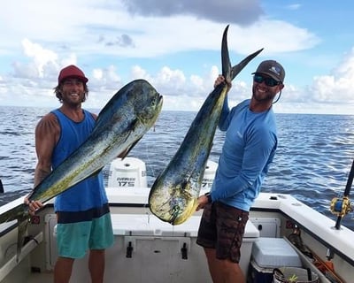 5-Hour Deep Sea Fishing Charter in Cabo Rojo