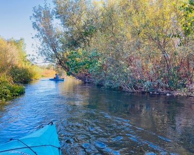 Guided Russian River Kayak Tour From Alexander Valley