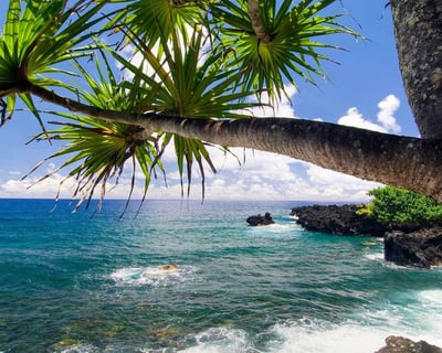 Road to Hana Guided Day Tour From Oahu With Flights