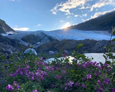 Guided Exit Glacier Trek in Kenai Fjords National Park