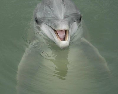 Private Captained Boat Charter on Hilton Head