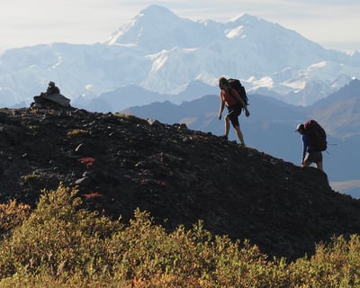 4-Day Kesugi Ridge Guided Backpacking Trip
