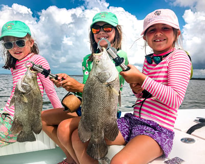 Apalachicola River Island Adventure Charter