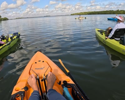 3-Hour Guided Kayak Tour in Vero Beach