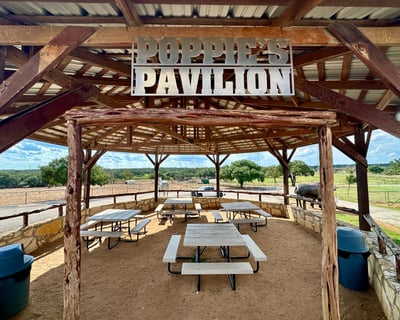 1 Hour 45-Minute Pavilion Rental in Johnson City