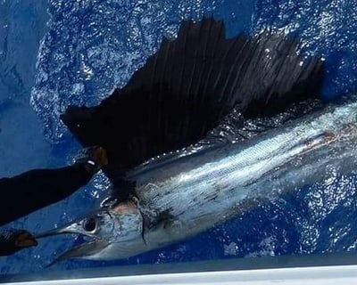 Key West Offshore & Reef Fishing Charter
