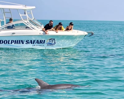 Key West Dolphin Watching and Snorkeling Tour