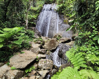 El Yunque Rainforest Guided Tour
