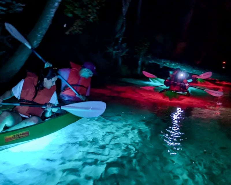 Sunset Glow Clear Bottom Kayak Tour at King's Landing
