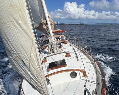 Morning Sailing Cruise on Tampa Bay