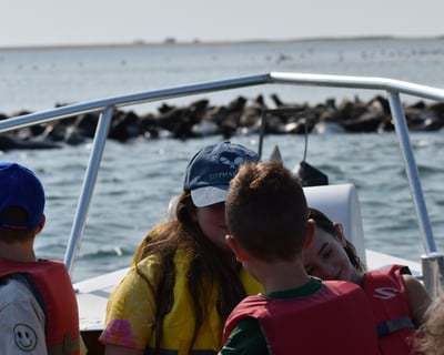 1.5-Hour Chatham Harbor & Seal Tour