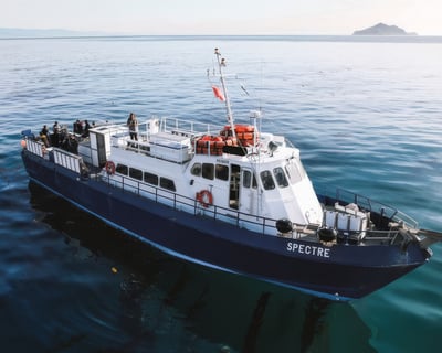 Channel Islands 3-Dive Scuba & Snorkel Cruise