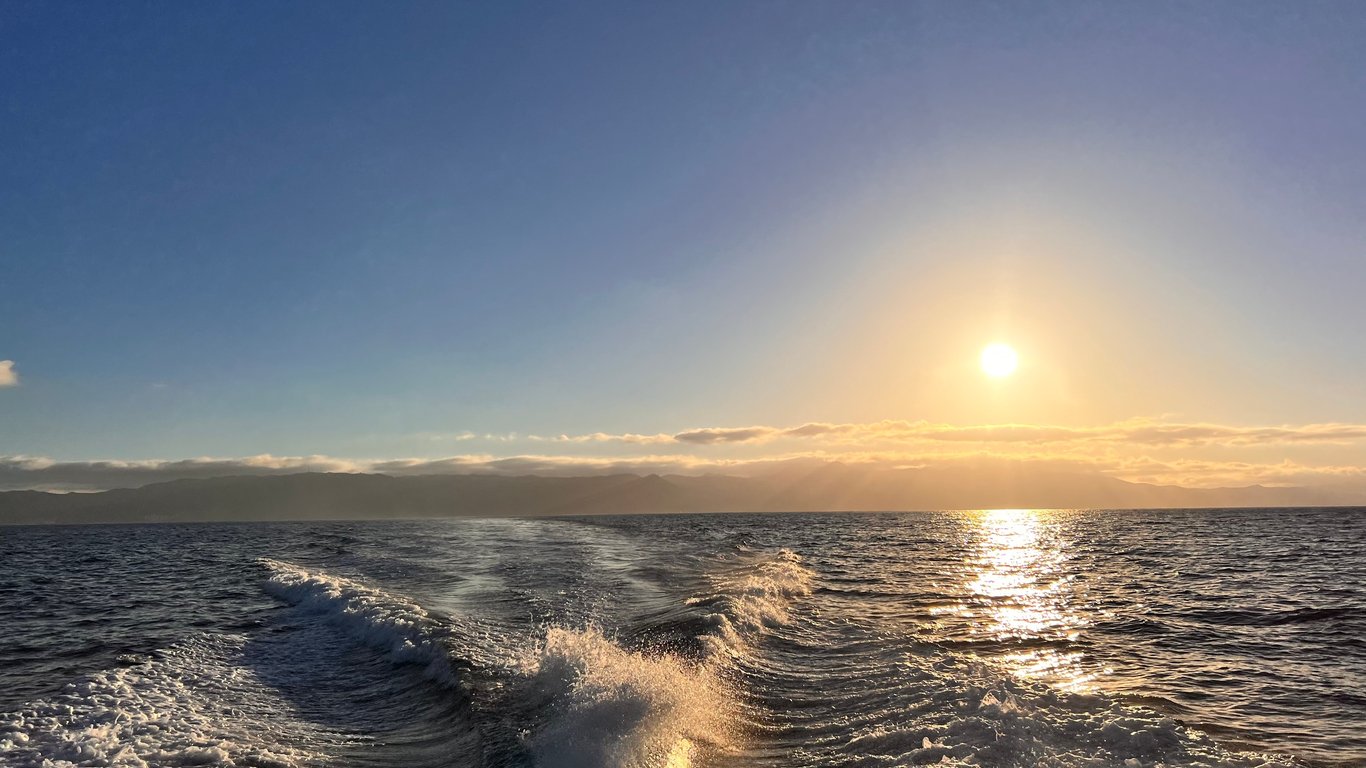 Long Beach Dolphin & Sea Lion Watching Cruise