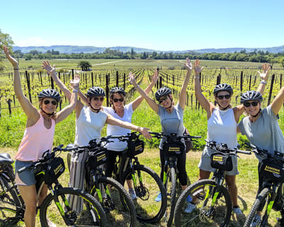 Private Sonoma Wine Bike Tour