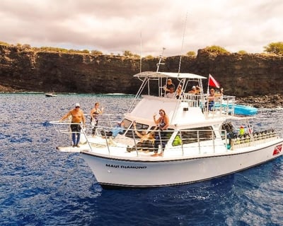 Maui Two-Tank Wild Card Dive Charter
