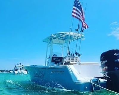 Cruise Sarasota Sandbars & Dolphin Watching