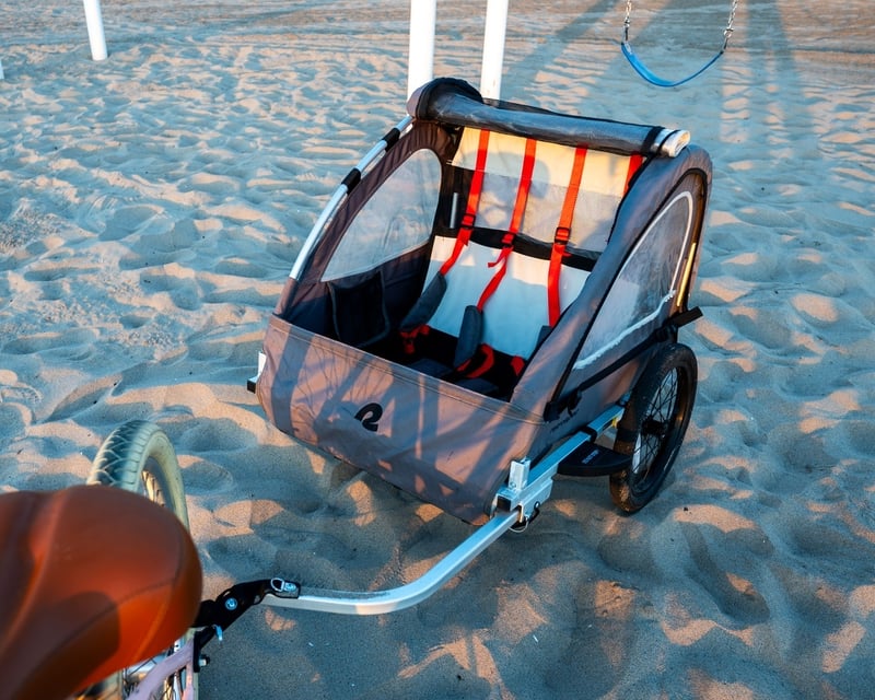 Double Kids Bike Trailer Rental in Santa Monica