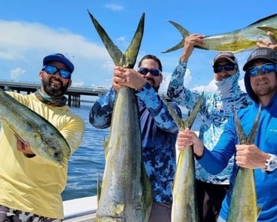 Reef & Wreck Fishing Charter in Miami