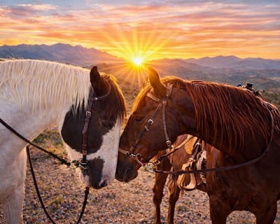Sunset Ride in Los Cerrillos