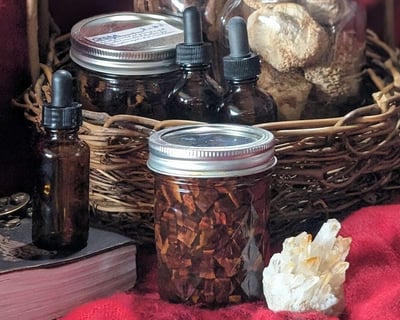 Salem Mushroom Tincture Workshop